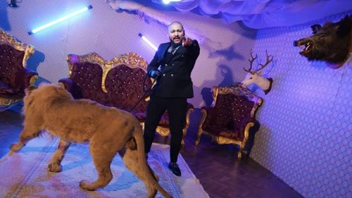 SURSE Percheziții acasă la manelistul Dani Mocanu în ancheta deschisă după ce a filmat un videoclip cu un leu rănit. Polițiștii caută leul