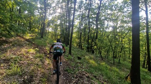 400 de bicicliști înscriși la ''Alba Carolina Bike Race'', cu trasee de ciclism montan de la 4 la 70 de kilometri / Circulaţia publică va fi restricţionată sâmbătă pe mai multe străzi din Alba Iulia