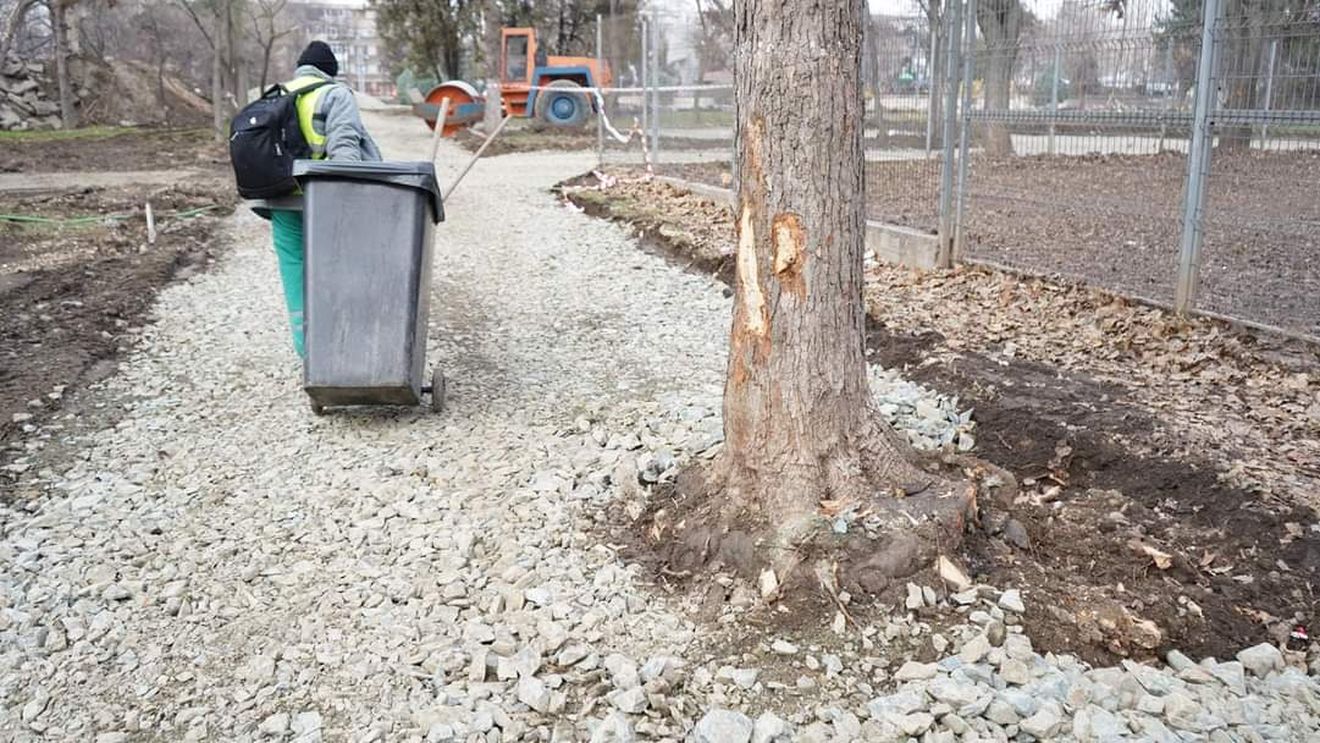 Garda de Mediu a amendat cu 15.000 de lei o firmă care reabilitează un parc din Constanța: "S-a constatat că mai mulți arbori erau vătămați"