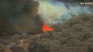 Incendiile de pădure devastează statul american New Mexico / Sute de proprietăți au fost distruse