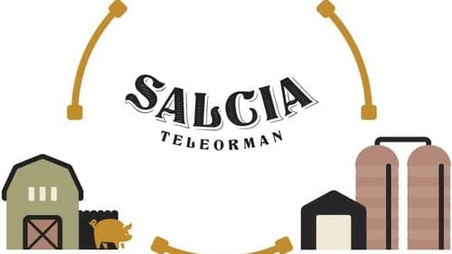 Directorul fermei de porci care a aparținut fiului lui Dragnea, condamnat de Tribunalul București la șapte ani de închisoare