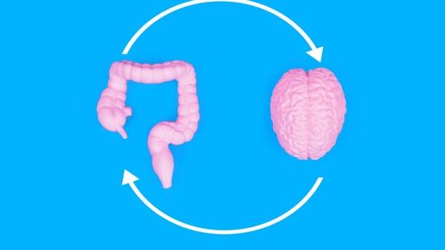 18 alimente care îți vor ajuta atât intestinul, cât și creierul