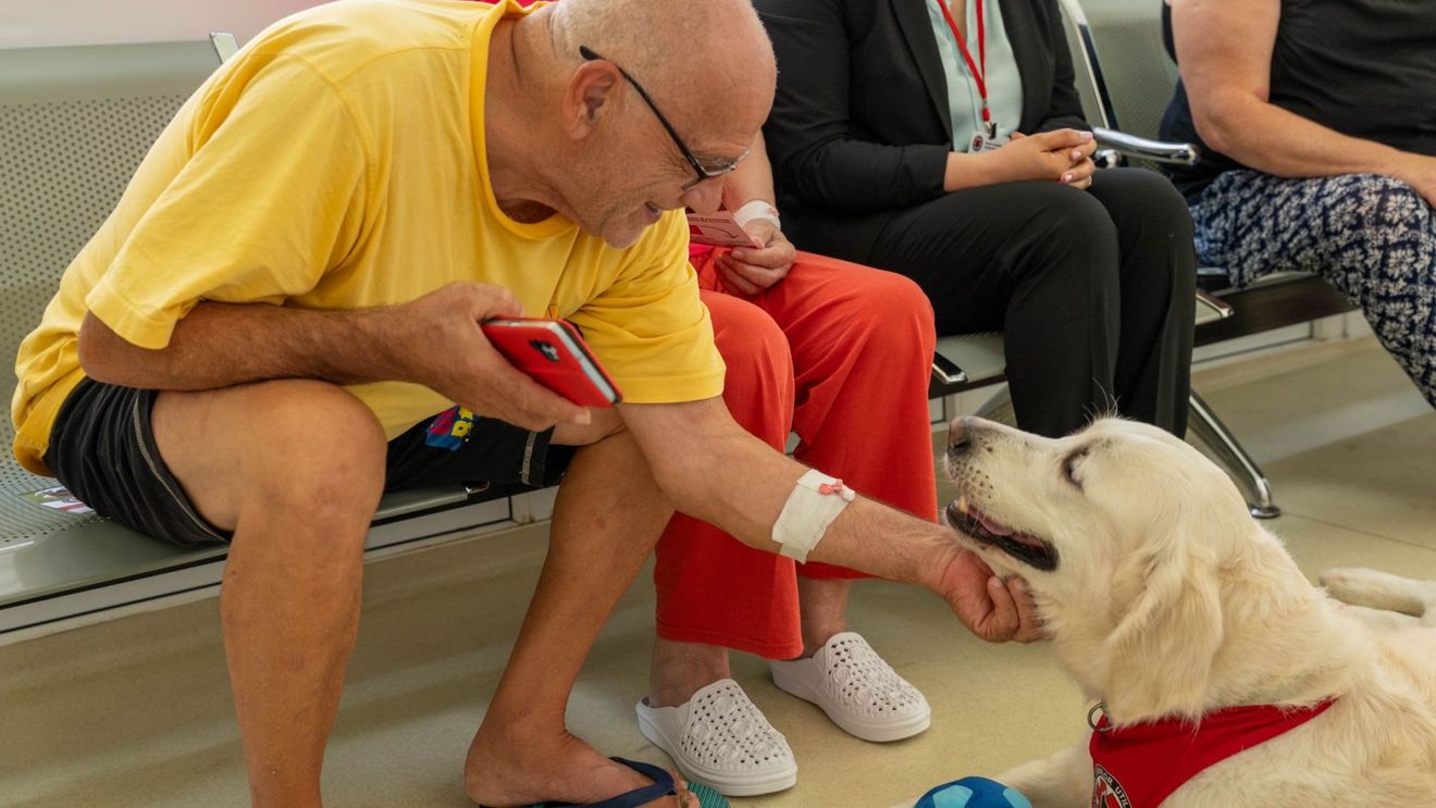Terapia cu animale: „hAM grijă de tine” / Mura, Betty și Alice au schimbat complet starea de spirit celor 50 de pacienți de la Spitalul Județean Ilfov / Câinii pot vindeca copii cu autism - STUDIU