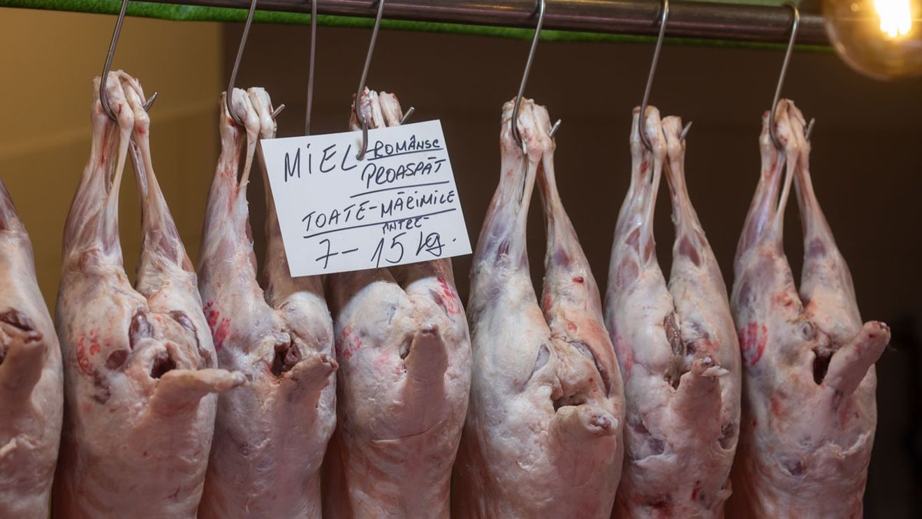 Amenzi de peste 6,3 milioane de euro date de Protecția Consumatorilor după controale la comercianții de carne de miel și la restaurante