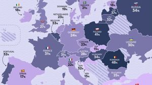 România este țara din UE cu cele mai multe pisici pe gospodărie și pe locul 3 la câini