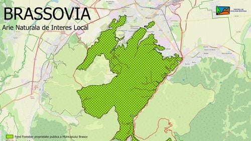 Înființarea Ariei Naturale Protejate Brassovia, respinsă din nou de aleșii locali / Aria ar include Postăvarul, Piatra Mare, Tâmpa și Rezervația Stejerișul