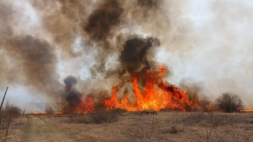 Protocol între Administraţia Deltei şi Agenţia Spaţială Europeană pentru prevenirea incendiilor din rezervaţie