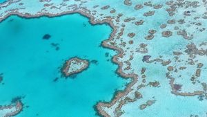 Mortalitate record a coralilor, într-o regiune a Marii Bariere din Australia, din cauza încălzirii excesive a apei. Fenomenul de albire amenință întreg ecosistemul