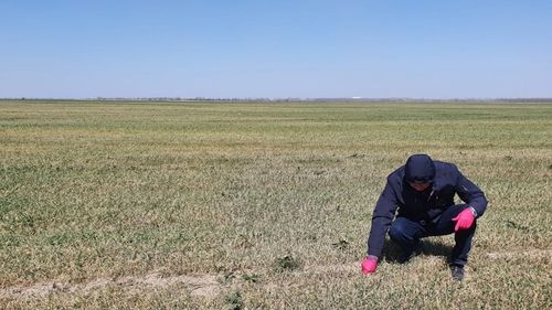 Cum afectează cea mai gravă secetă din ultima sută de ani România, Polonia și Cehia