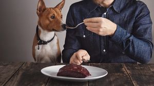 Studiu surprinzător: Stăpâniii de câini ar sări peste propriile mese pentru a-și hrăni animalele