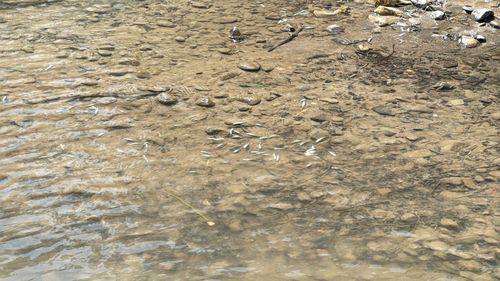 A fost depășit termenul de instalare a stațiilor de desalinizare din Mureș / Târnava Mică are depășiri de până la 90% a concentrației de sare, iar populația primește apă potabilă îmbuteliată