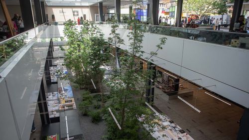 Amzei Animat: Trei weekend-uri cu activități pentru copii și adulți în centrul Bucureștiului