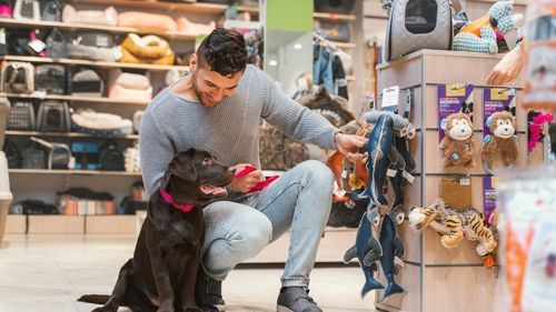 Prețurile produselor pentru animale de companie, în scădere în SUA: Dar veterinarul devine tot mai scump