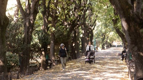 Meteo: Temperaturi uşor mai ridicate decât cele normale pentru această perioadă, până la jumătatea lunii octombrie/ Ploile, excendentare în nord-vestul ţării