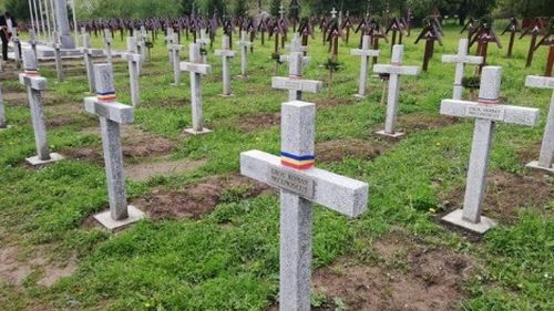 Steagurile Noii Drepte la ceremonia de Ziua Eroilor din cimitirul Valea Uzului