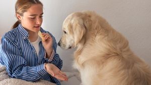 Cum trebuie să-i vorbești câinelui tău, potrivit științei. Studiile din ultimele două decenii arată că tonul vocii și gesturile noastre activează instincte vechi de 30.000 de ani