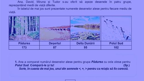Subiectele de la Evaluarea Națională de clasa a II-a 2025, la Matematică și Explorarea mediului: „Câți pereți vor fi acoperiți cu 24 de desene din Deșert, știind că pe fiecare perete încap câte 6 desene?”