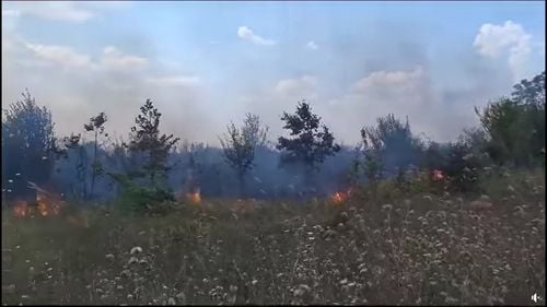 VIDEO Incendiu de vegetație uscată în nordul Capitalei, vântul influențează continuu propagarea flăcărilor