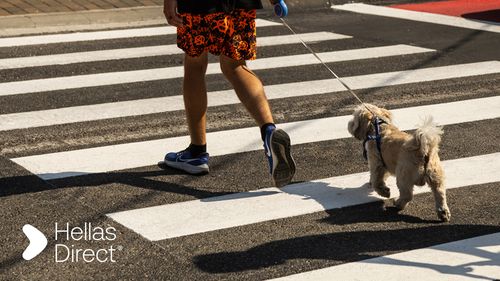 Compania de asigurări Hellas Direct aduce inițiativa Safe Roads project în Piatra Neamț