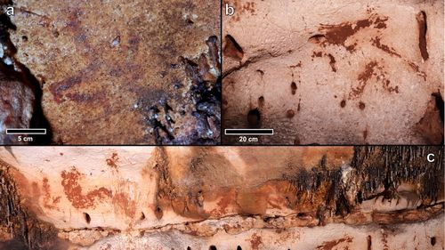 Artă rupestră veche de 24.000 de ani, descoperită de arheologi în Spania