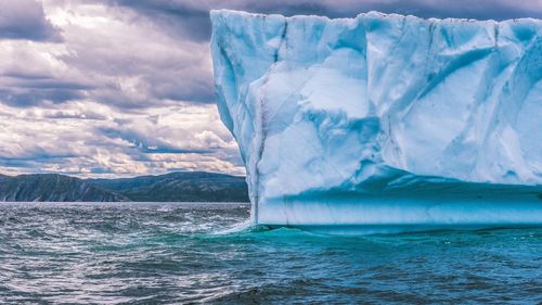 Cel mai mare aisberg din lume a rămas imobilizat lângă o insulă bogată în faună din Antarctica