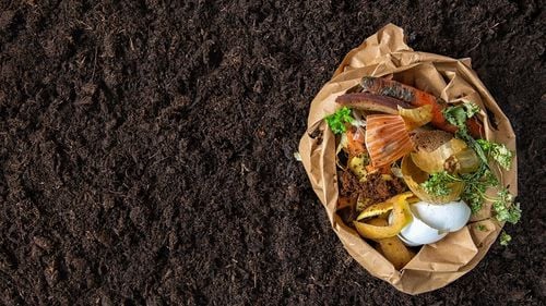 Deșeurile alimentare: O soluție biodegradabilă pentru criza plasticului?