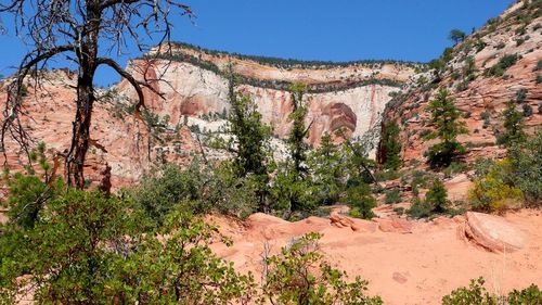 Cinci bărbaţi au fost arestați după ce șase cadavre au fost găsite în deşertul Mojave din sudul Californiei / Victimele au fost împușcate