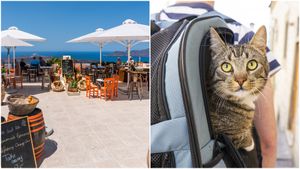 Sondaj: Românii consideră că Grecia și Turcia sunt cele mai atractive țări din punct de vedere culinar / 62% alocă 25-50% din buget mâncării în vacanță / Ce fac respondenții cu animalele de companie când sunt în concediu?