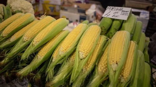 Porumbul dulce: cât de sănătos este și ce proprietăți are