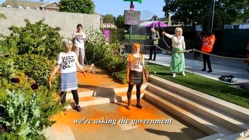 Activişti 'Just Stop Oil' au stropit cu vopsea portocalie o grădină la Chelsea Flower Show din Londra: La ce foloseşte o grădină dacă nu poţi mânca?