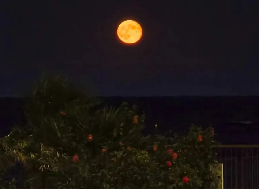 Luna plină