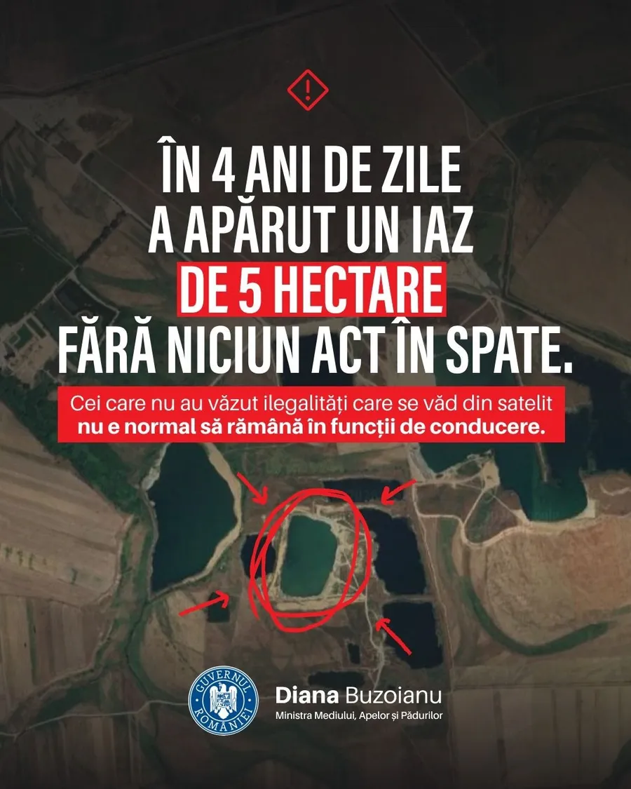 Postare Diana Buzoianu. Sursa Facebook