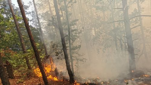 Incendiu puternic într-o pădure de pin cu vârsta de circa 120 de ani / Flăcările au cuprins 120 de hectare / Două aeronave militare Spartan configurate pentru stingerea incendiilor, trimise la fața locului