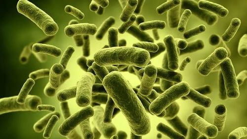 Virus misterios: China anunţă un al patrulea deces  / Organizația Mondială a Sănătății organizează miercuri o reuniune de urgență