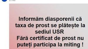 Europarlamentarul Maria Grapini îi jignește pe ”diasporeni”: Fără certificat de prost nu poți participa la miting