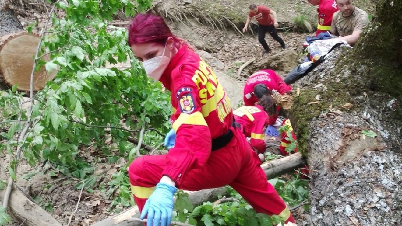 Sibiu: Un bărbat de 50 de ani a murit, după ce a fost prins sub un trunchi de copac în pădurea din localitatea Jina