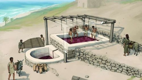 O echipă de arheologi libanezo-germană a descoperit primul teasc de vin fenician foarte bine conservat, cu o vechime de 2600 de ani