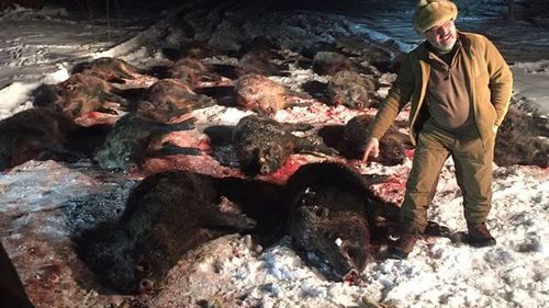 DOCUMENT Dragnea s-a întâlnit la o partidă de vânătoare cu șeful Tel Drum în urmă cu patru ani. Liderul PSD a susținut că nu s-a mai văzut cu Petre Pitiș de peste ”10-15 ani”