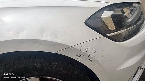 VIDEO Mașină vandalizată de câini într-o parcare din Suceava / Aripile și bara, mușcate și zgâriate / Proprietarul nu știe cine îl va despăgubi