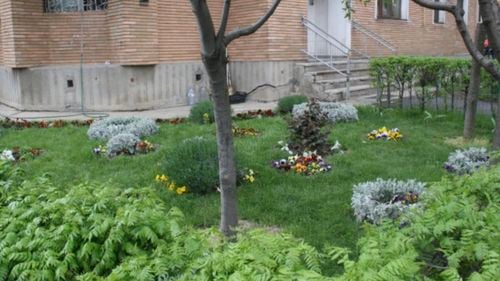 O femeie din Brașov a fost amendată cu 100 de lei pentru că a plantat flori în grădina blocului / Primar: ”Este un regulament aprobat de fosta administraţie locală”