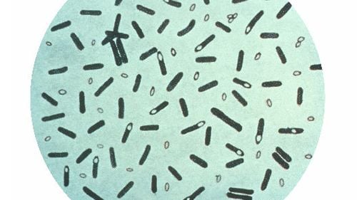 Ce este botulismul și care sunt riscurile acestei boli la oameni