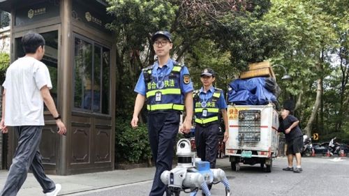 Câinii-roboți preiau controlul: patrulează străzile, filmează, dau amenzi și sunt pregătiți de luptă / Inteligența Artificială capătă formă, voce și putere de foc