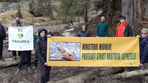 Protest pe Valea Vâlsanului pentru protejarea ultimelor exemplare din lume de asprete, un pește pe cale de dispariție
