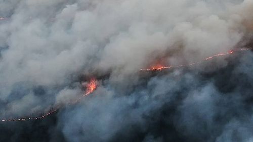 Incendiile de vegetație din Siberia au stabilit un record al emisiilor de CO2/ Nori uriași de fum după ce peste 4,2 milioane de hectare au fost mistuite de foc