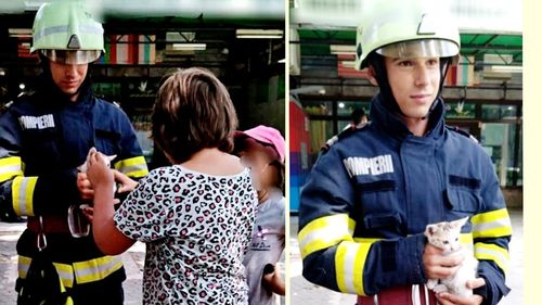 Pui de pisică blocat într-un spațiu îngust, salvat de pompierii ialomițeni