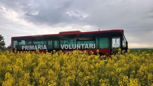 HotNews.ro: Primăria Capitalei a plătit în mandatul Gabrielei Firea peste 60 milioane lei către firma de transport a primăriei Voluntari, condusă de soțul acesteia, pentru cursele regionale București-Ilfov 