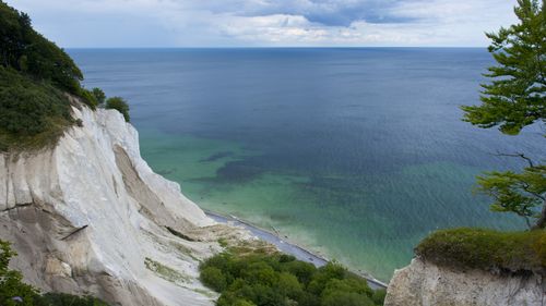 Fosile, păduri și orhidee sălbatice: o experiență unică pe stâncile albe din Danemarca