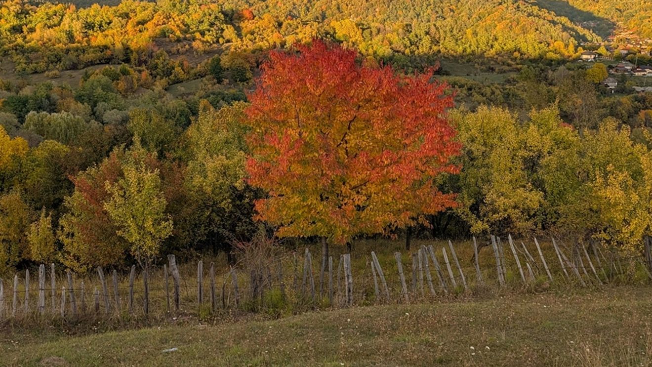 Vremea se va încălzi treptat în această săptămână. Cel mai cald va fi în Banat / Prognoza meteo pe regiuni în următoarele două săptămâni