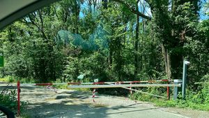 FOTO Primăria Sectorului 1 a autorizat al doilea acces rutier din Greenfield către Șoseaua de Centură / Drumul prevăzut prin PUZ încă din 2019 și asumat de dezvoltator nu a fost executat până acum / Imagini surprind bariere care blochează drumul forestier din Pădurea Băneasa