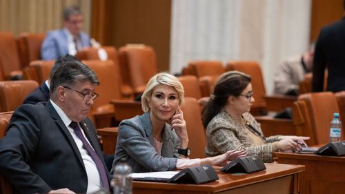 Raluca Turcan: Legalizarea activităților casnice urmează să se facă din 1 ianuarie 2024/ Persoanele care muncesc acum, de cele mai multe ori la negru, ar urma să poată fi plătite legal, cu ajutorul unor tichete  / Lucrurile par sa fie blocate din perspectiva operaționalizării